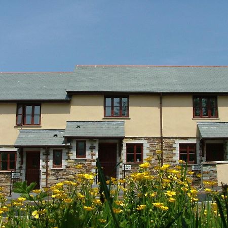 Rose Cottage 카멜퍼드 외부 사진