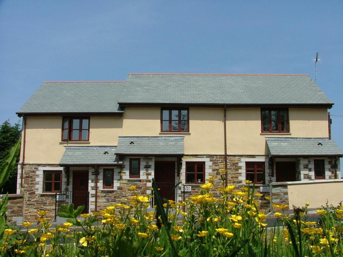 Rose Cottage 카멜퍼드 외부 사진